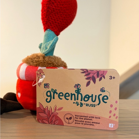 🌱 Greenhouse By Russ Emmy Heart Flower Valentines Day ❤️ Mini 6” Plant BNWT - Picture 6 of 8